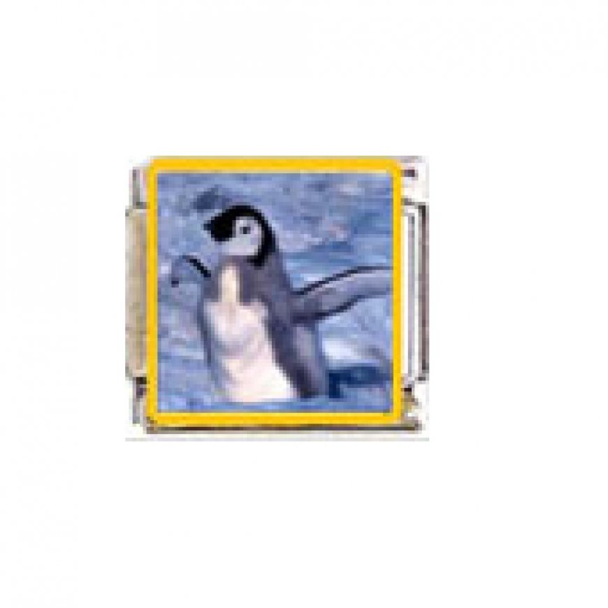 Penguin (q) - enamel 9mm Italian charm - Click Image to Close