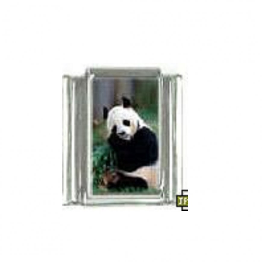 Panda (c) - photo 9mm Italian charm - Click Image to Close