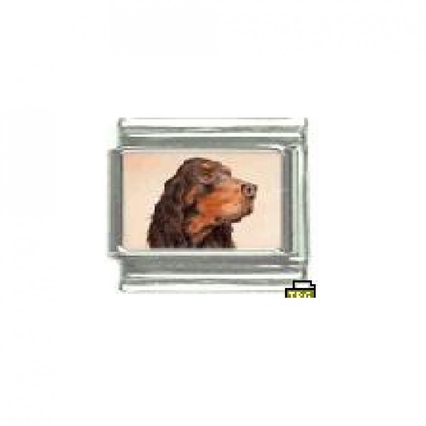 Dog charm - Gordon Setter 1 - 9mm Italian charm - Click Image to Close