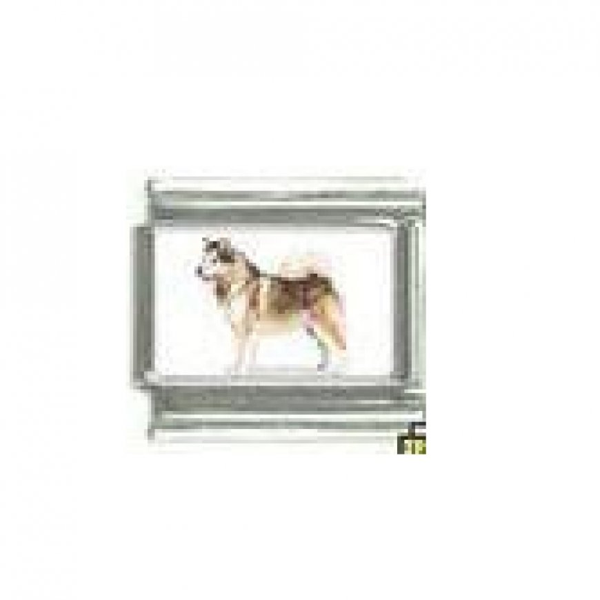 Dog charm - Akita 5 - 9mm Italian charm - Click Image to Close