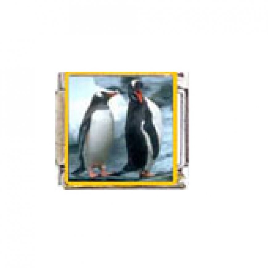 Penguin (aa) - enamel 9mm Italian charm - Click Image to Close