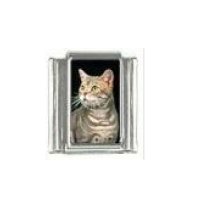 Cat - Ginger tabby cat (g) enamel 9mm Italian charm