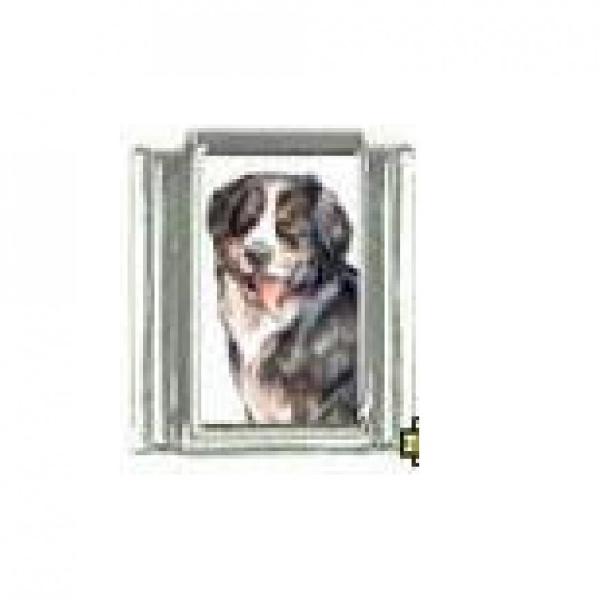 Dog charm - Bernese Mountain Dog 3 - 9mm Italian charm - Click Image to Close