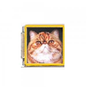 Cat - Ginger tabby cat (b) enamel 9mm Italian charm