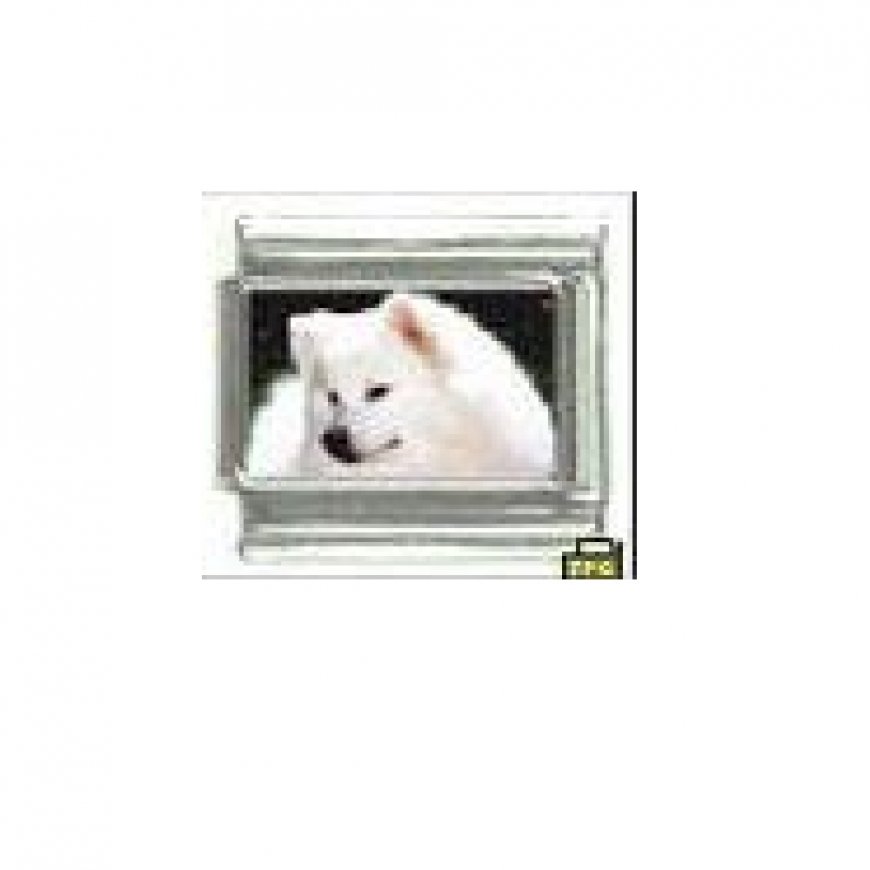 Dog charm - American Eskimo 1 - 9mm Italian charm - Click Image to Close