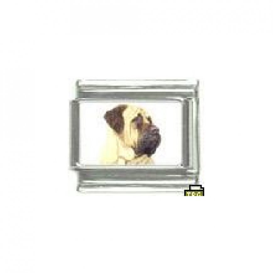 Dog charm - Mastiff 2 - 9mm Italian charm - Click Image to Close
