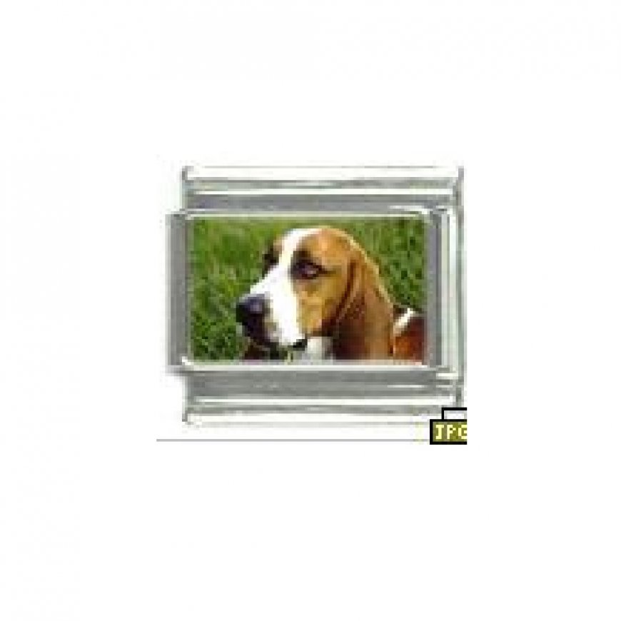 Dog charm - Basset hound 1 - 9mm Italian charm - Click Image to Close