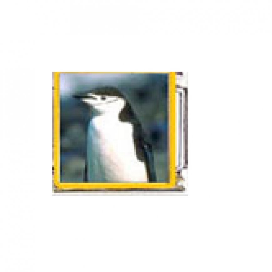Penguin (x) - enamel 9mm Italian charm - Click Image to Close