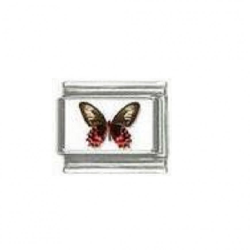 Butterfly photo a16 - 9mm Italian charm - Click Image to Close