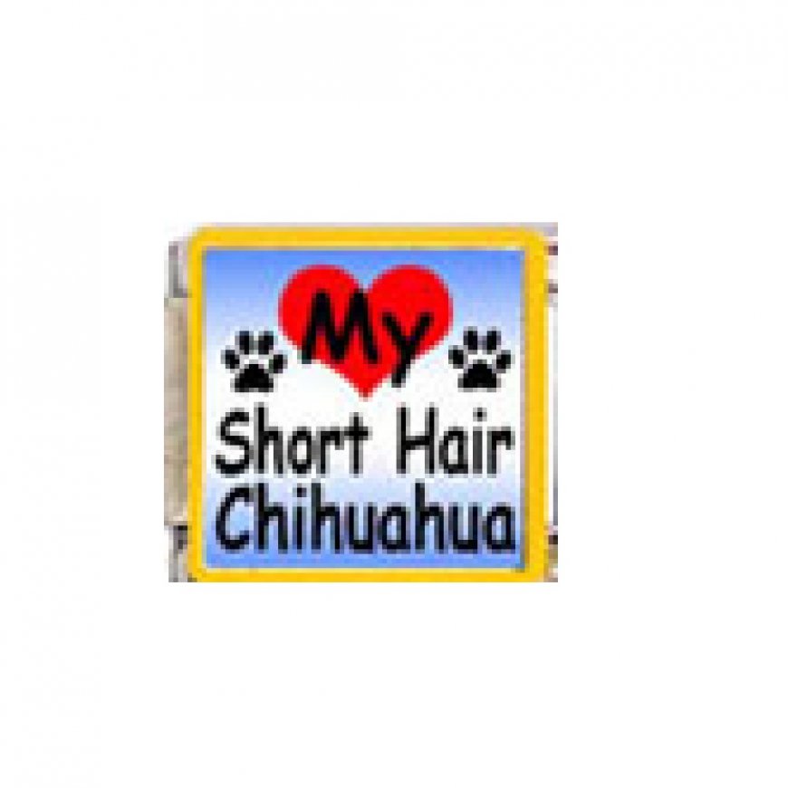 Love my Short Hair Chihuahua - dog - enamel 9mm Italian charm - Click Image to Close