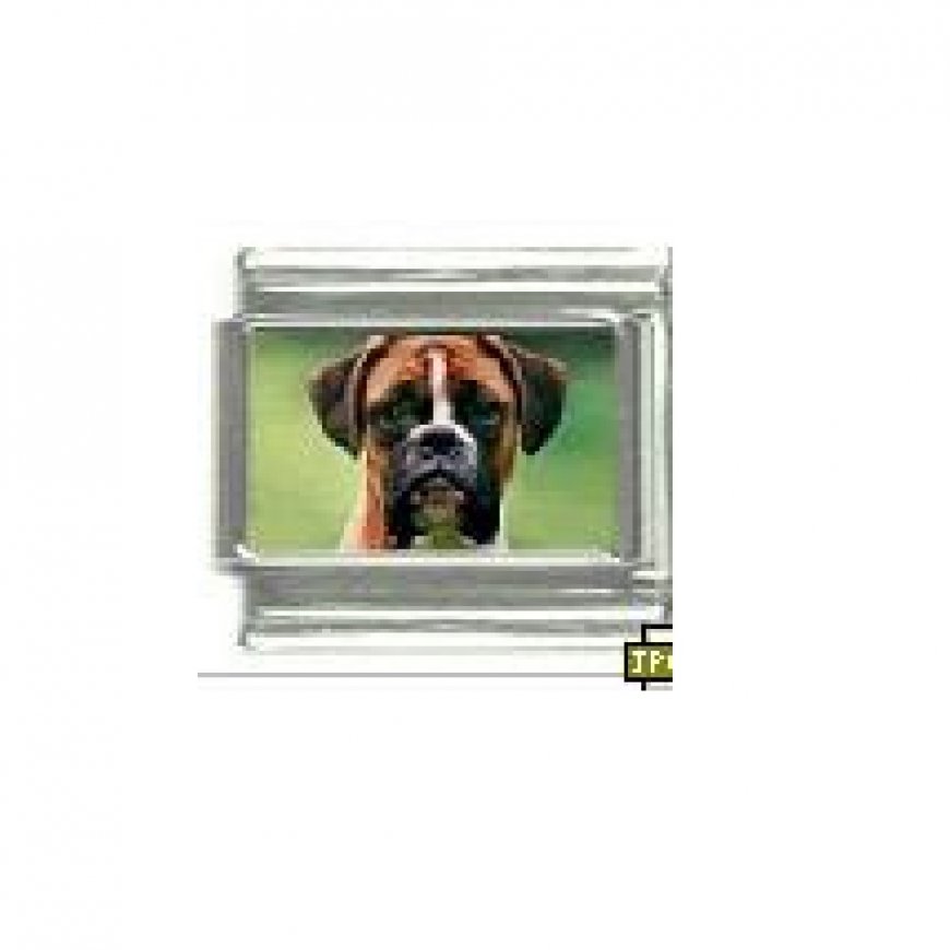 Dog charm - Boxer 2 - 9mm Italian charm - Click Image to Close