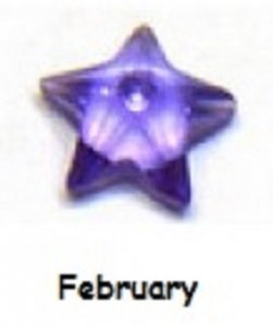 February birthstone star 4mm floating locket charm