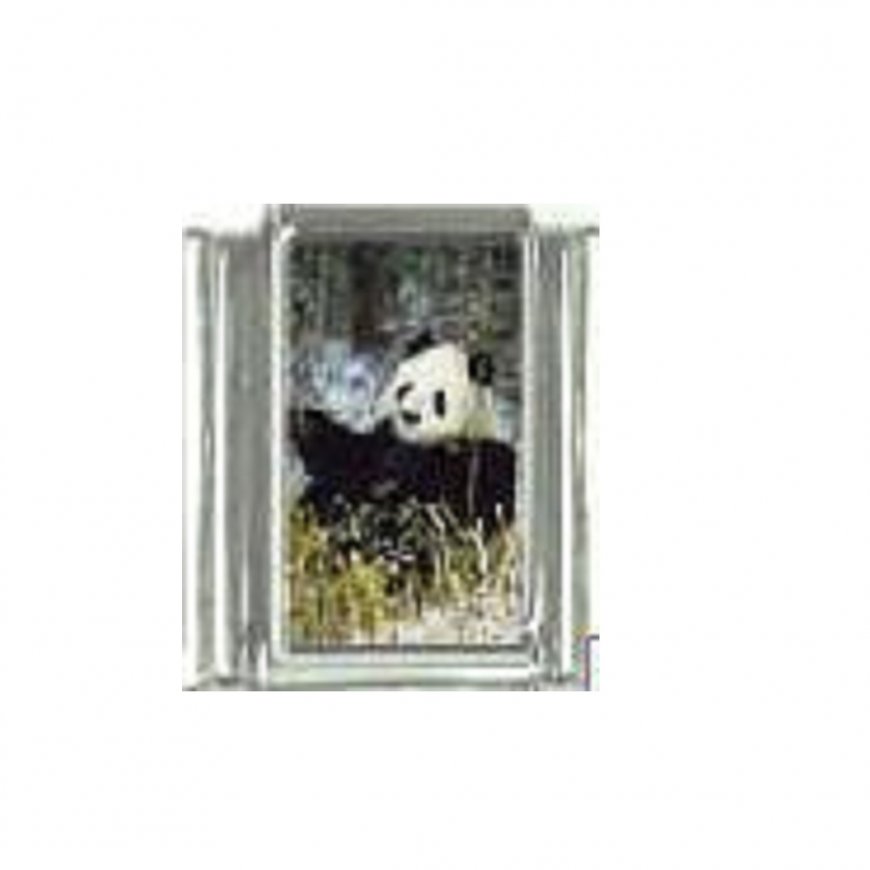 Panda (d) - photo 9mm Italian charm - Click Image to Close