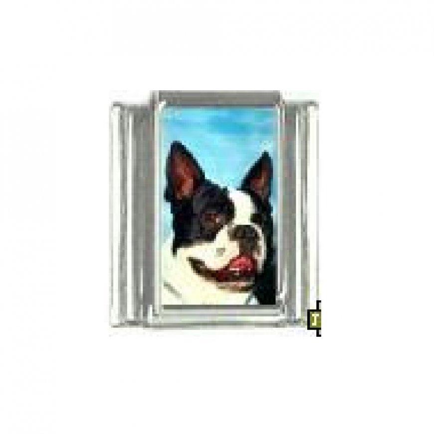 Dog charm - Boston Terrier 5 - 9mm Italian charm - Click Image to Close