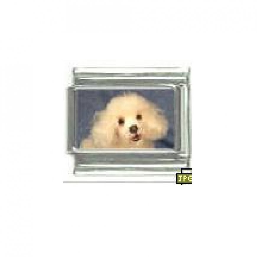 Dog charm - Poodle 1 - 9mm Italian charm - Click Image to Close