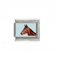 Horse (ae) - photo 9mm Italian charm