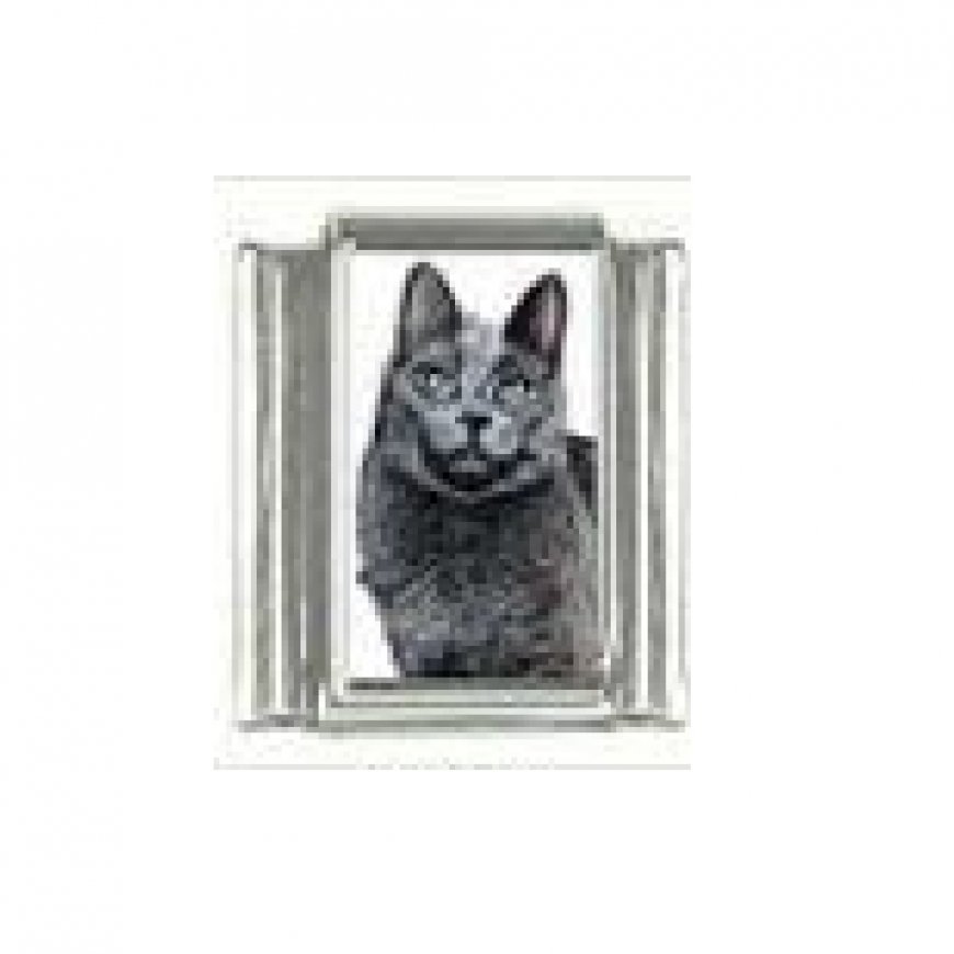 Cat - Grey cat (a) photo 9mm Italian charm - Click Image to Close
