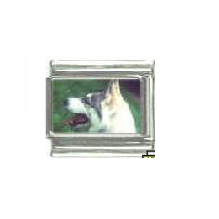 Dog charm - Siberian Husky 1 - 9mm Italian charm - Click Image to Close