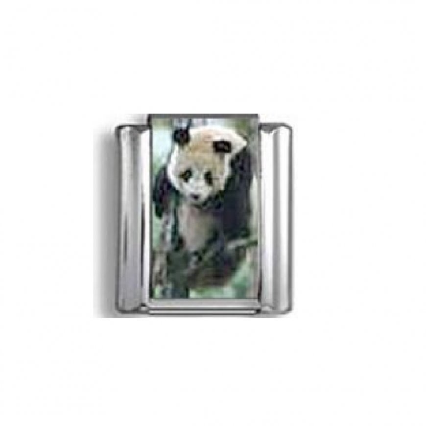 Panda (a) - photo 9mm Italian charm - Click Image to Close