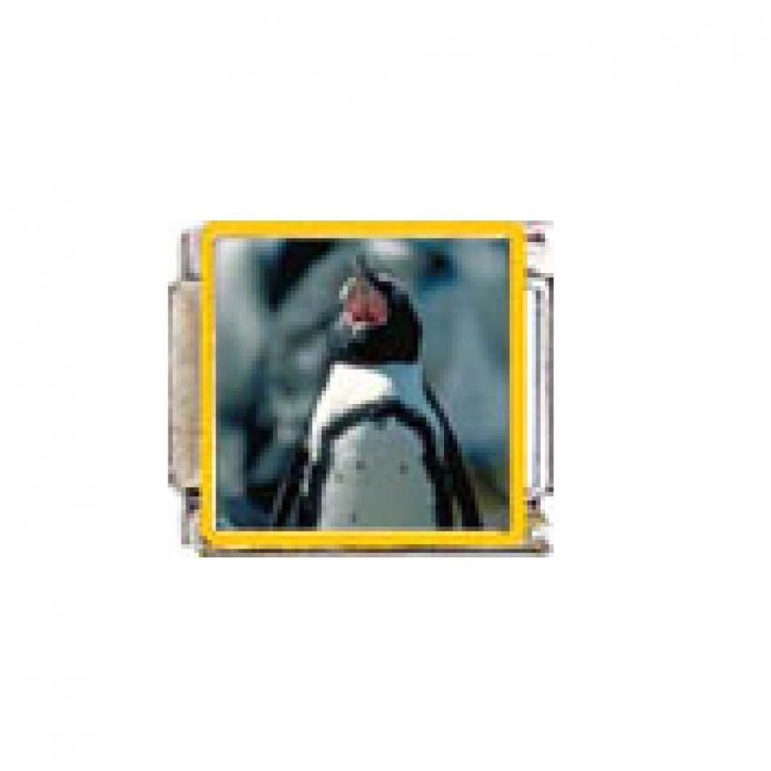 Penguin (w) - enamel 9mm Italian charm - Click Image to Close