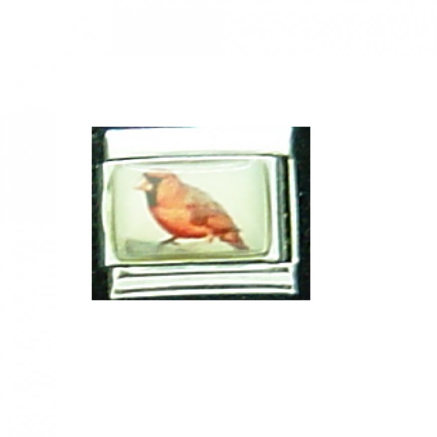 Cardinal bird (c) - photo 9mm Italian charm - Click Image to Close