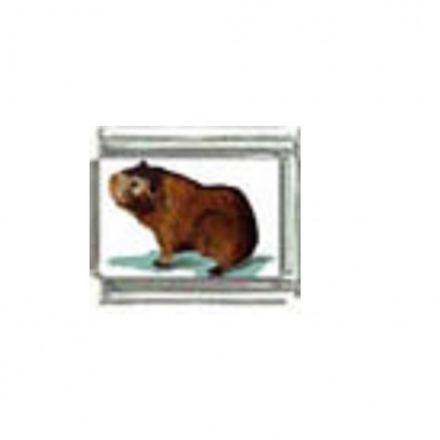 Guinea pig (h) photo charm - 9mm Italian charm - Click Image to Close
