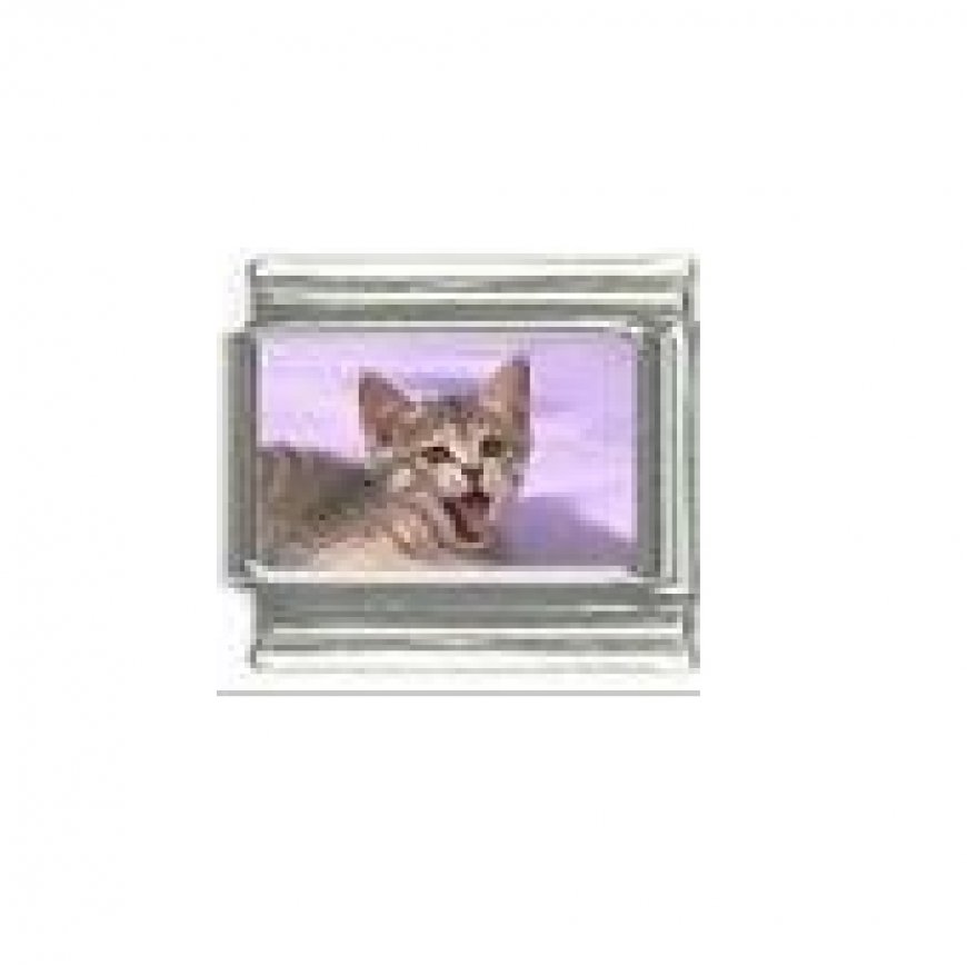 Cat - Grey tabby cat photo 9mm Italian charm - Click Image to Close
