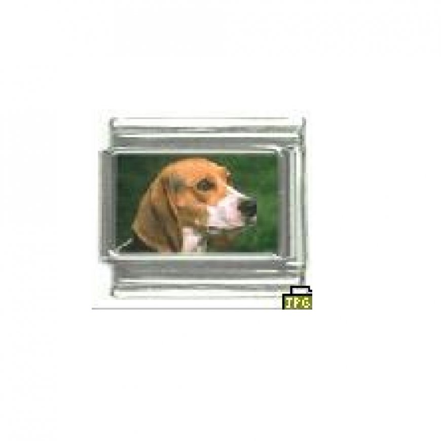 Dog charm - Beagle 1 - 9mm Italian charm - Click Image to Close