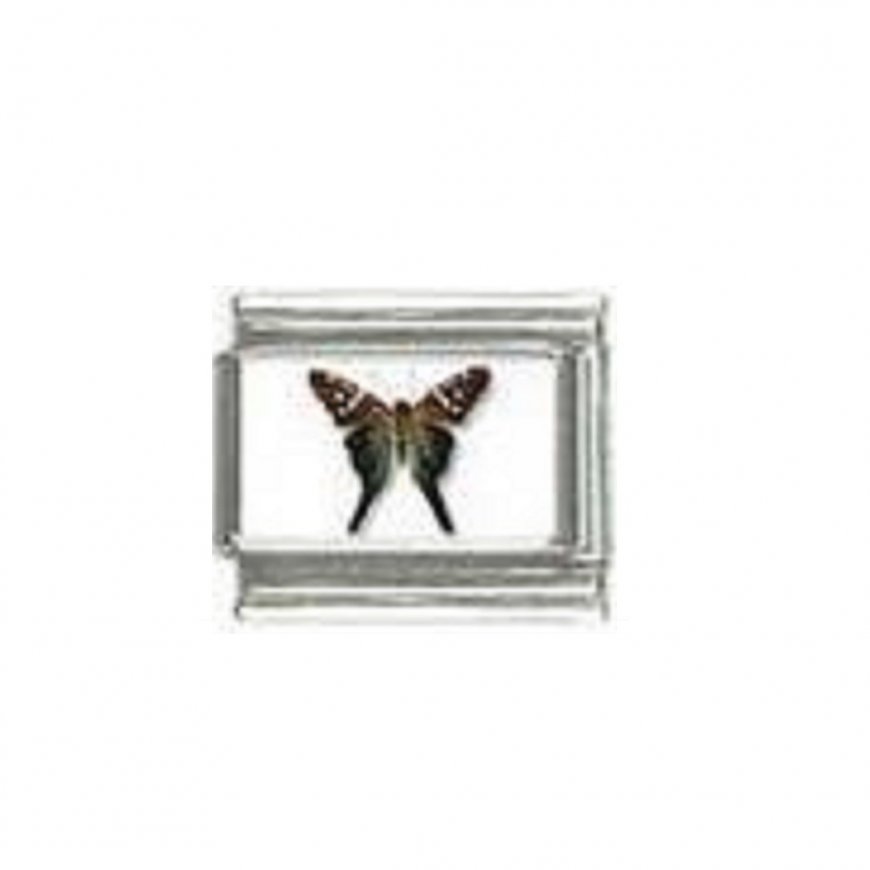 Butterfly photo a113 - 9mm Italian charm - Click Image to Close