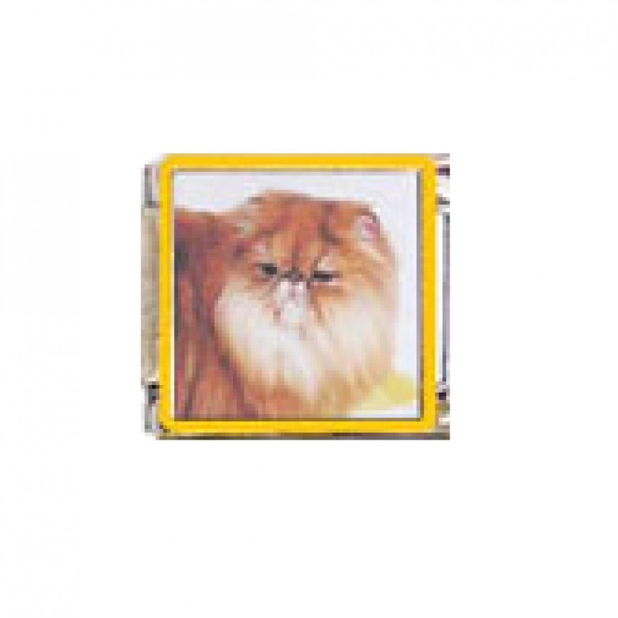 Cat - Persian cat (d) 9mm enamel Italian charm - Click Image to Close