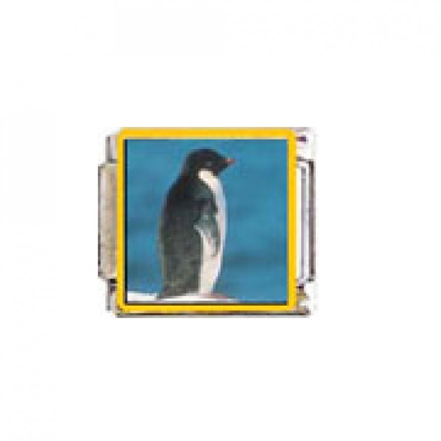 Penguin (h) - enamel 9mm Italian charm - Click Image to Close