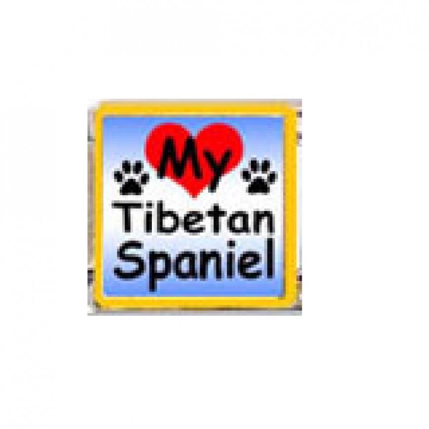 Love my Tibetan Spaniel - dog - enamel 9mm Italian charm - Click Image to Close