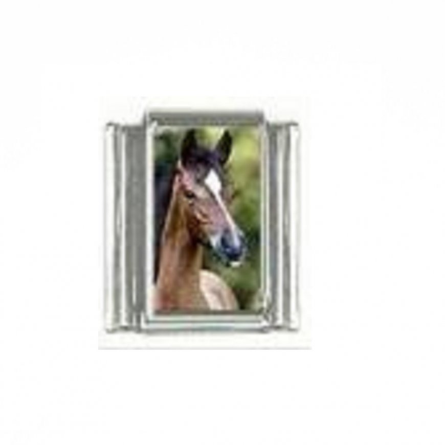 Horse (as) - photo 9mm Italian charm - Click Image to Close