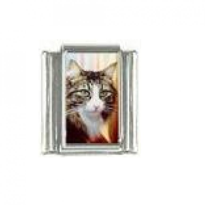 Cat - tabby cat (b) photo 9mm Italian charm - Click Image to Close