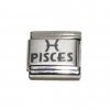 Pisces laser charm (a) (20/2-20/3) 9mm Italian charm