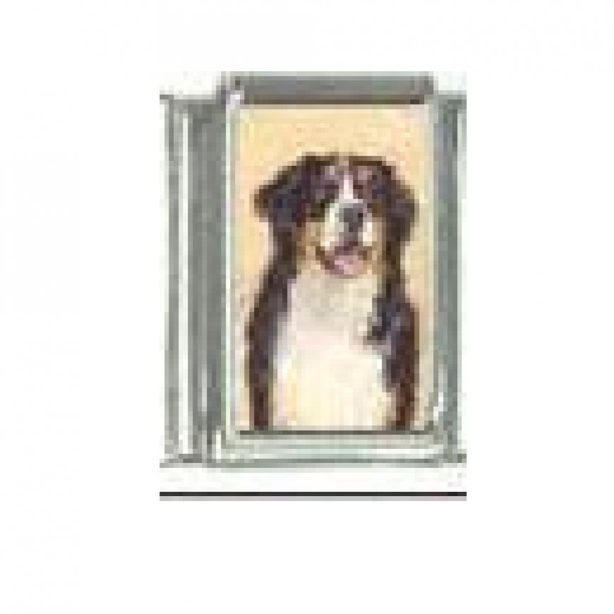 Dog charm - Bernese Mountain Dog 4 - 9mm Italian charm - Click Image to Close