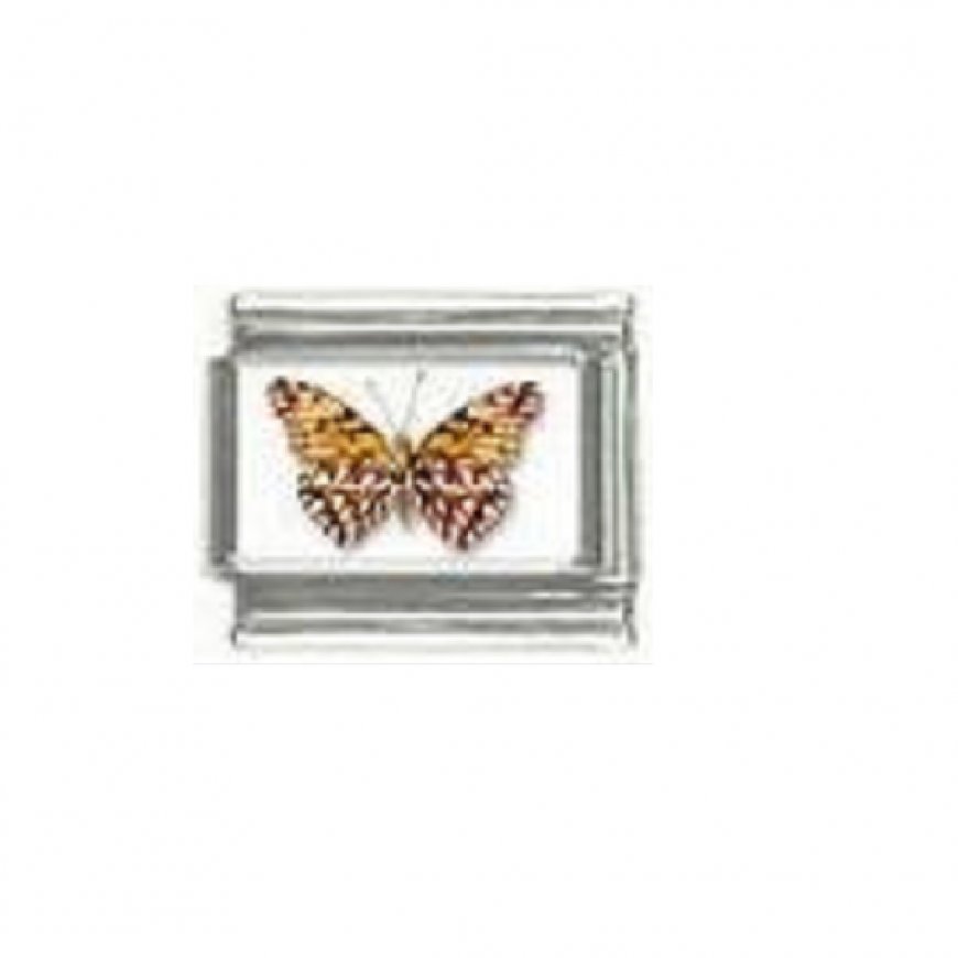 Butterfly photo a4 - 9mm Italian charm - Click Image to Close