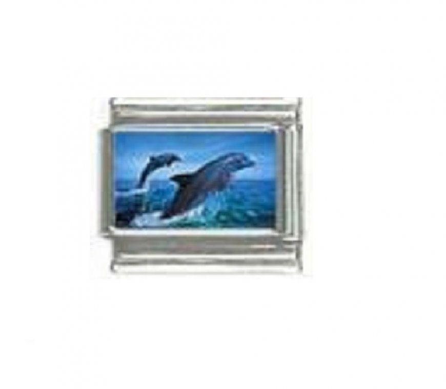 Dolphin (i) photo 9mm Italian charm - Click Image to Close