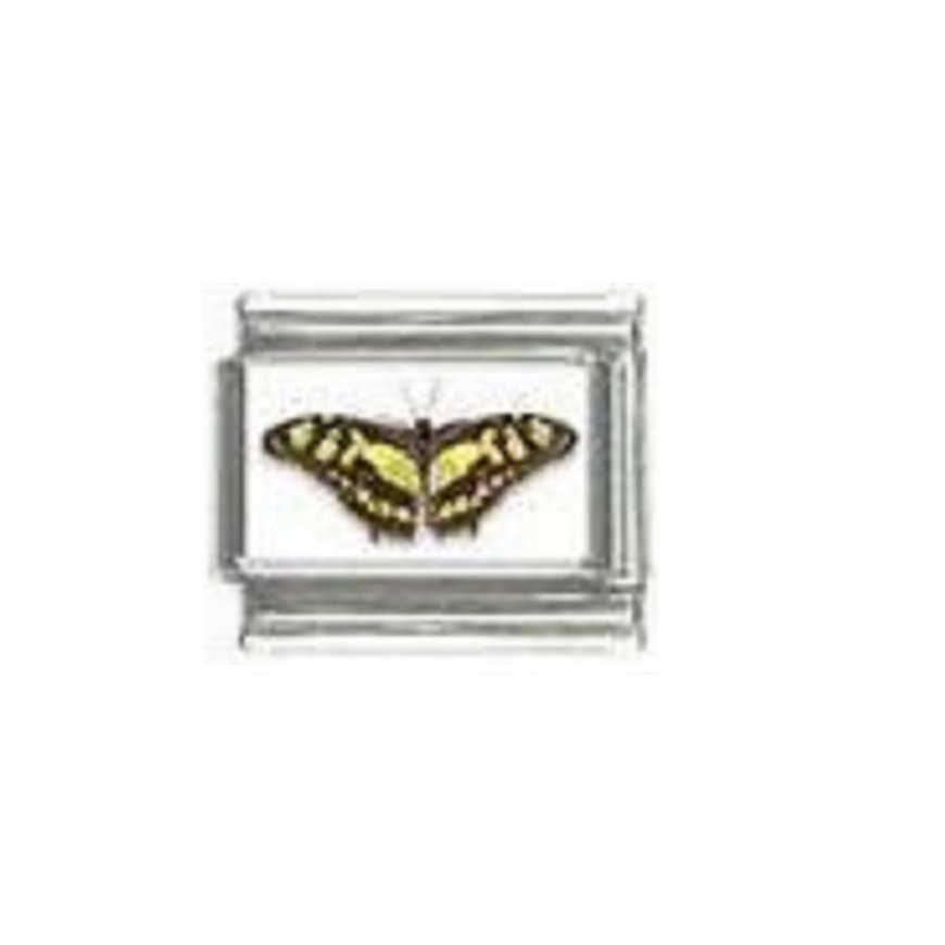 Butterfly photo a112 - 9mm Italian charm - Click Image to Close