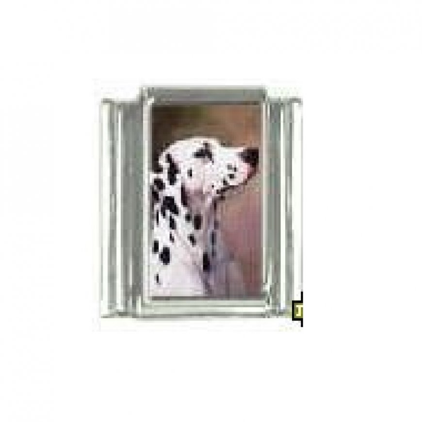 Dog charm - Dalmation 5 - 9mm Italian charm - Click Image to Close