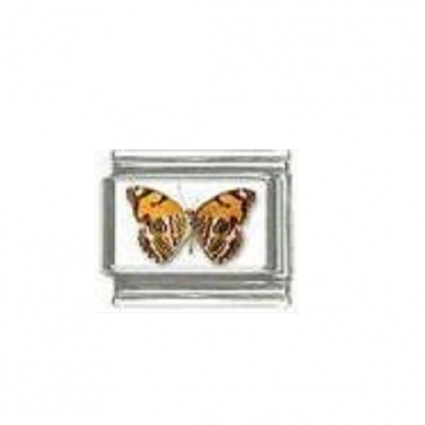 Butterfly photo a10 - 9mm Italian charm - Click Image to Close