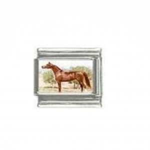 Horse (j) - photo 9mm Italian charm