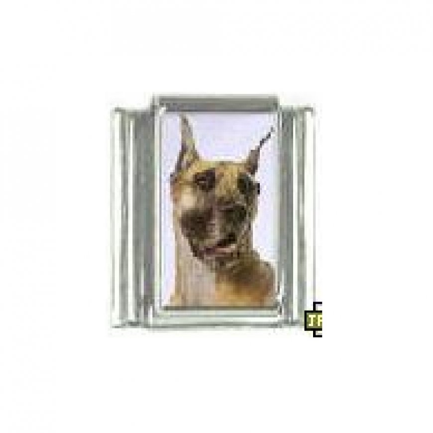 Dog charm - Great Dane 5 - 9mm Italian charm - Click Image to Close