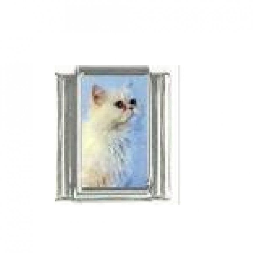 Cat - White fluffy cat (b) - 9mm photo Italian charm - Click Image to Close