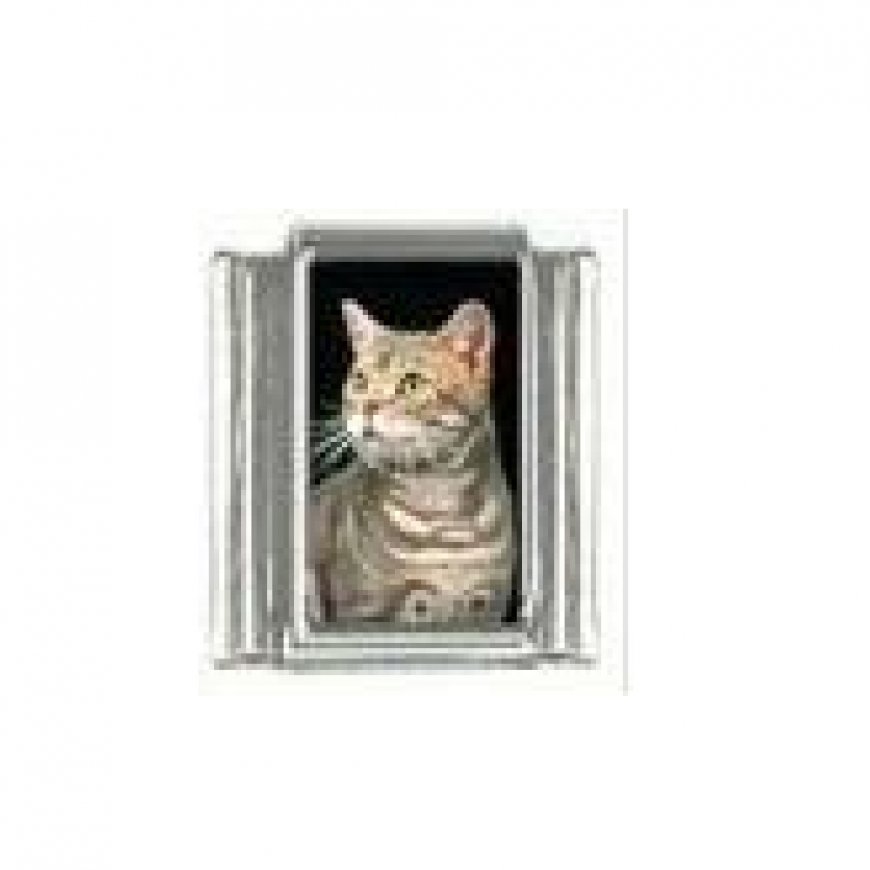 Cat - Ginger tabby cat (g) enamel 9mm Italian charm - Click Image to Close