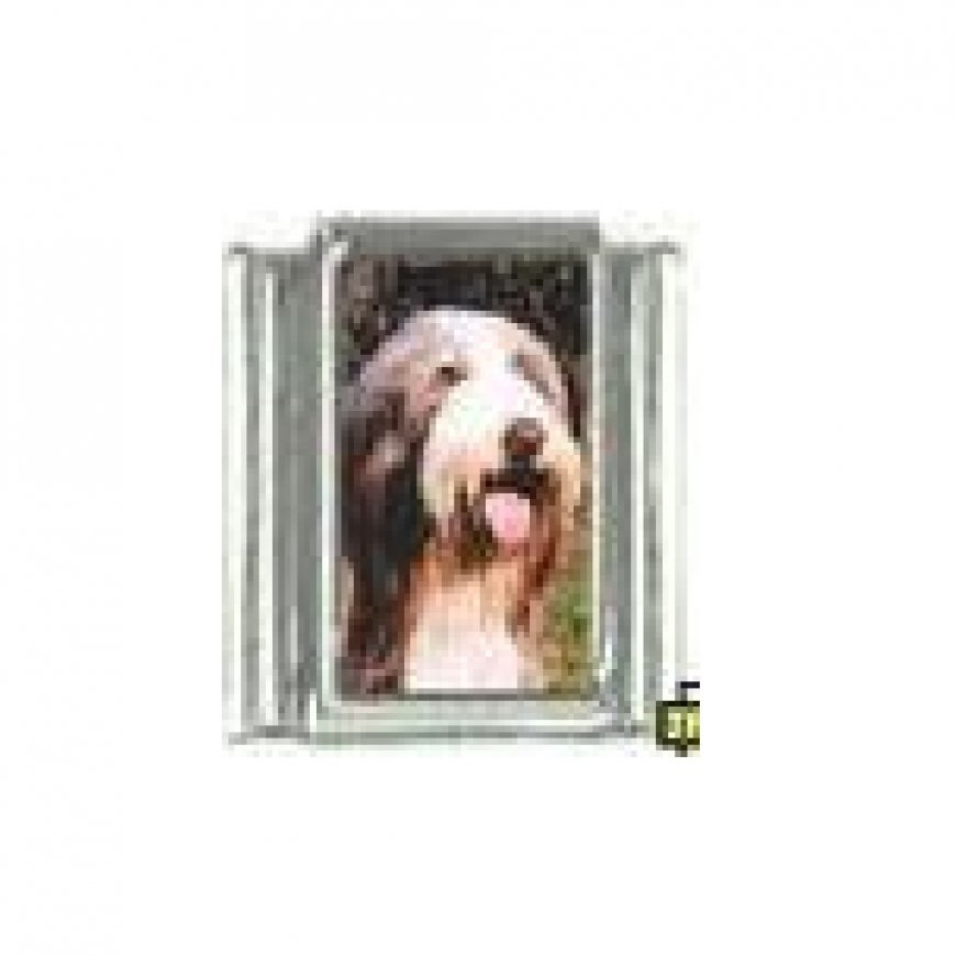 Dog charm - Bearded Collie 4 - 9mm Italian charm - Click Image to Close