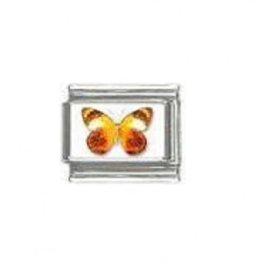 Butterfly photo a45 - 9mm Italian charm - Click Image to Close