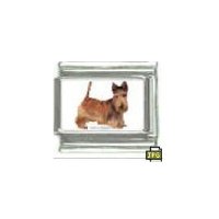 Dog charm - Scottish Terrier 1 - 9mm Italian charm