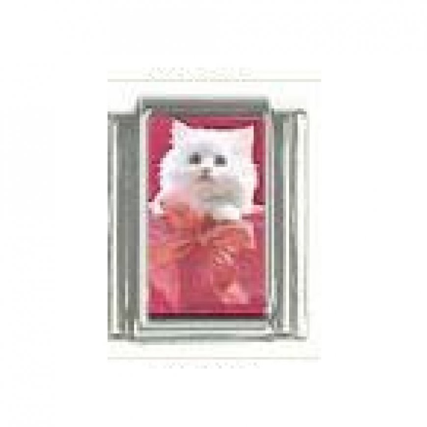 Cat - White cat on pink background photo 9mm Italian charm - Click Image to Close
