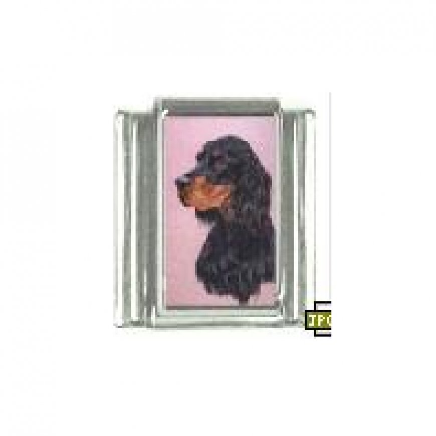 Dog charm - Gordon Setter 4 - 9mm Italian charm - Click Image to Close